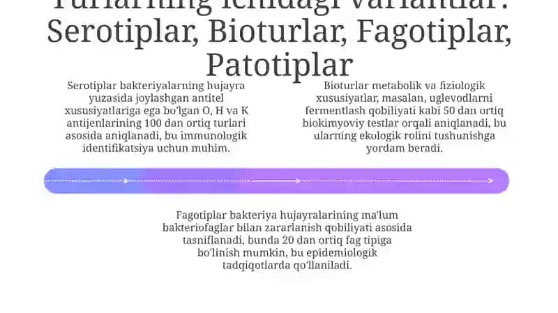 Bakteriyalar klassifikatsiyasi 4