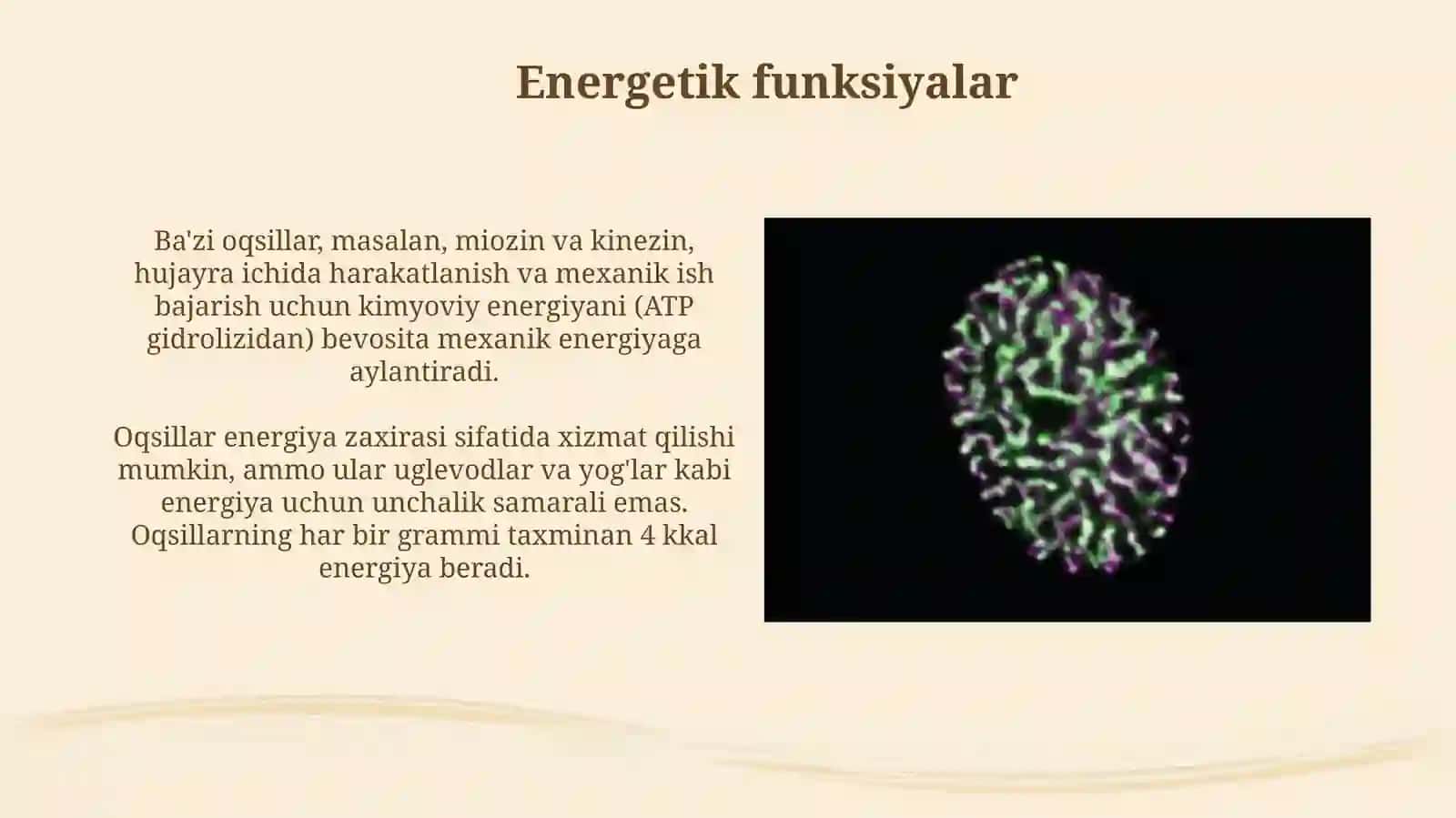 Oqsillarning funksiyalari 4