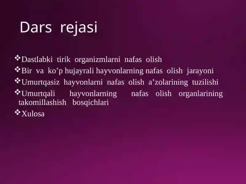 Hayvonlarning nafas olish organlari evolutsiyasi 4