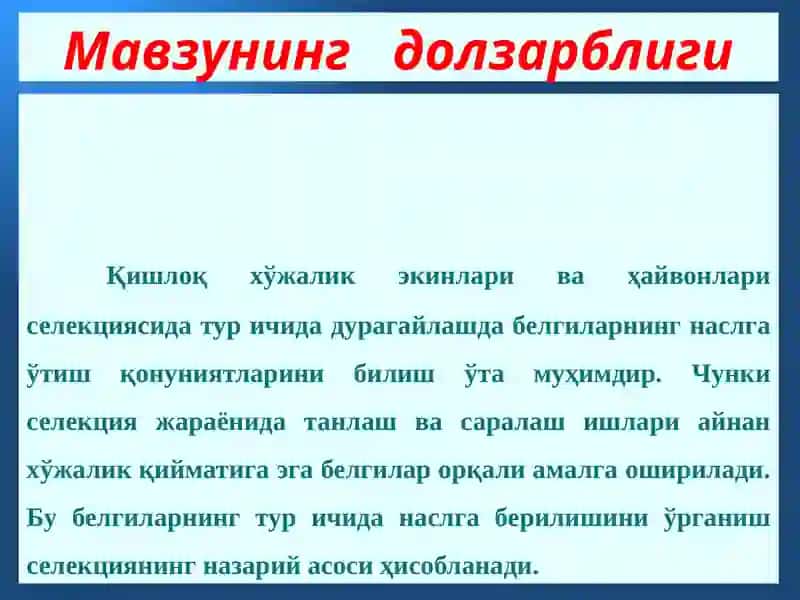 Маърузанингтаълим технологияси 4