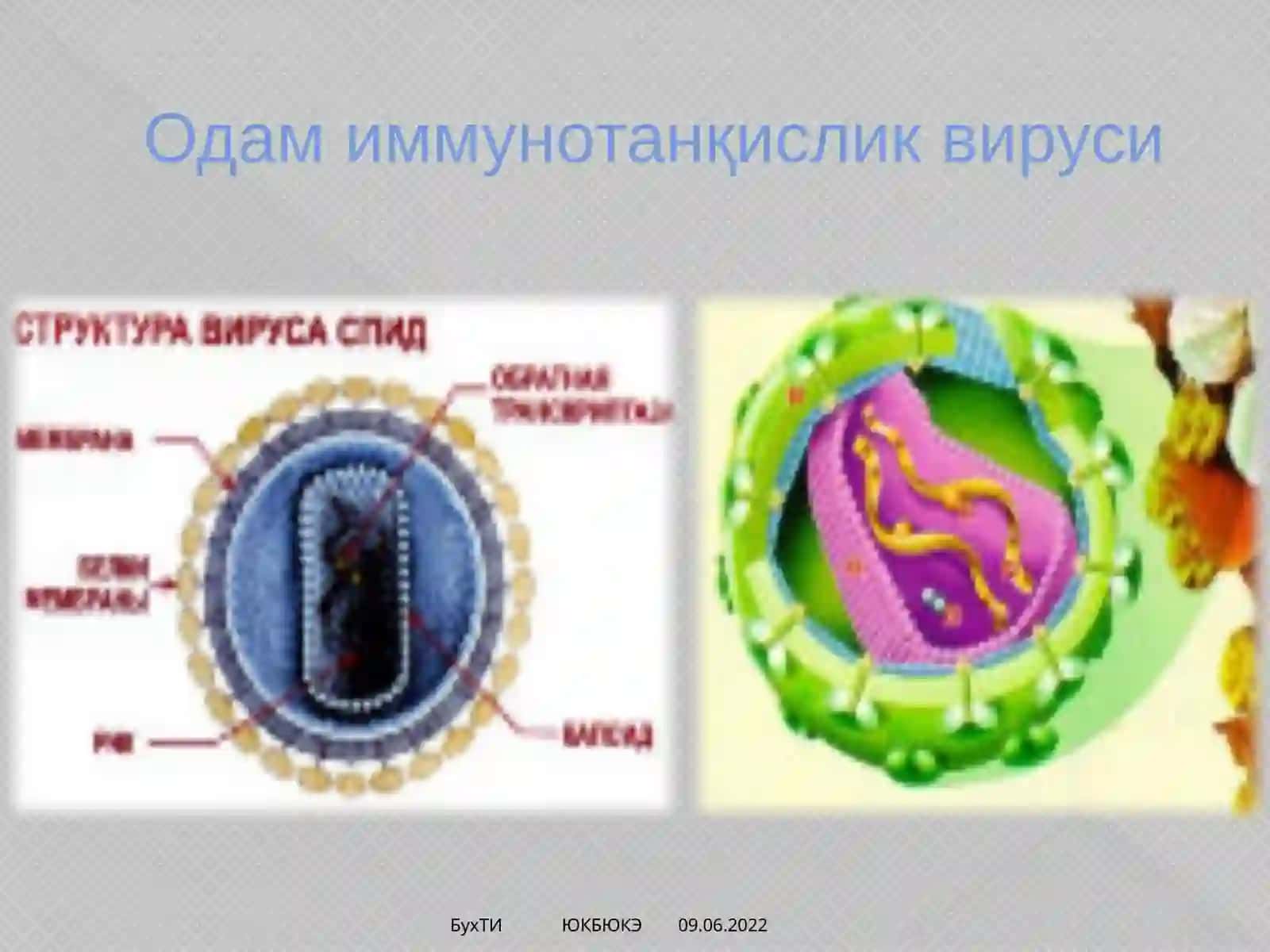 ОИТС/ОИВ -инфекцияси 4