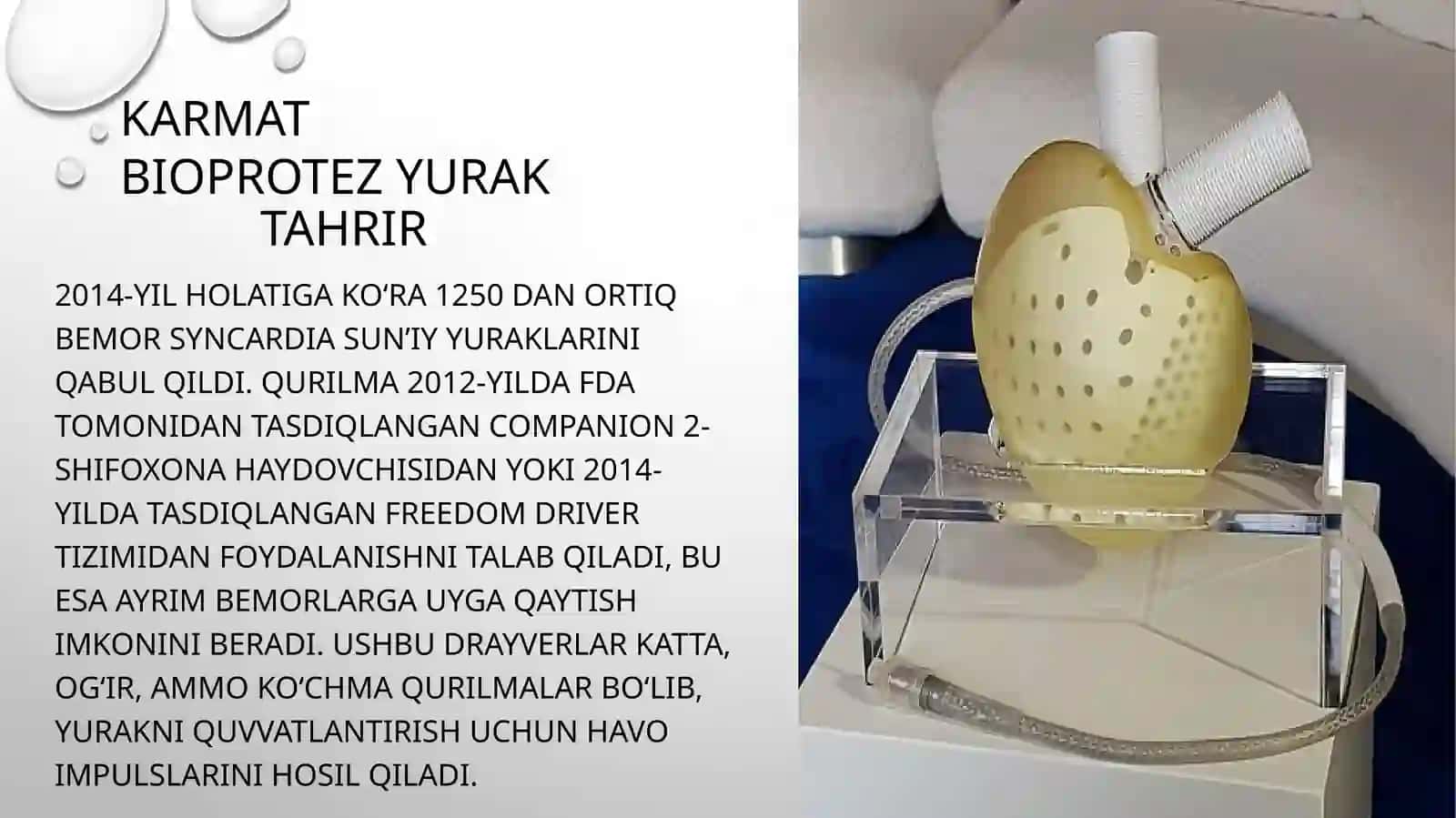 Sun'iy yurak. Sun'iy buyrak 4