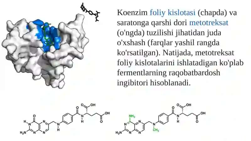 FERMENTLAR MUHANDISLIGI 4