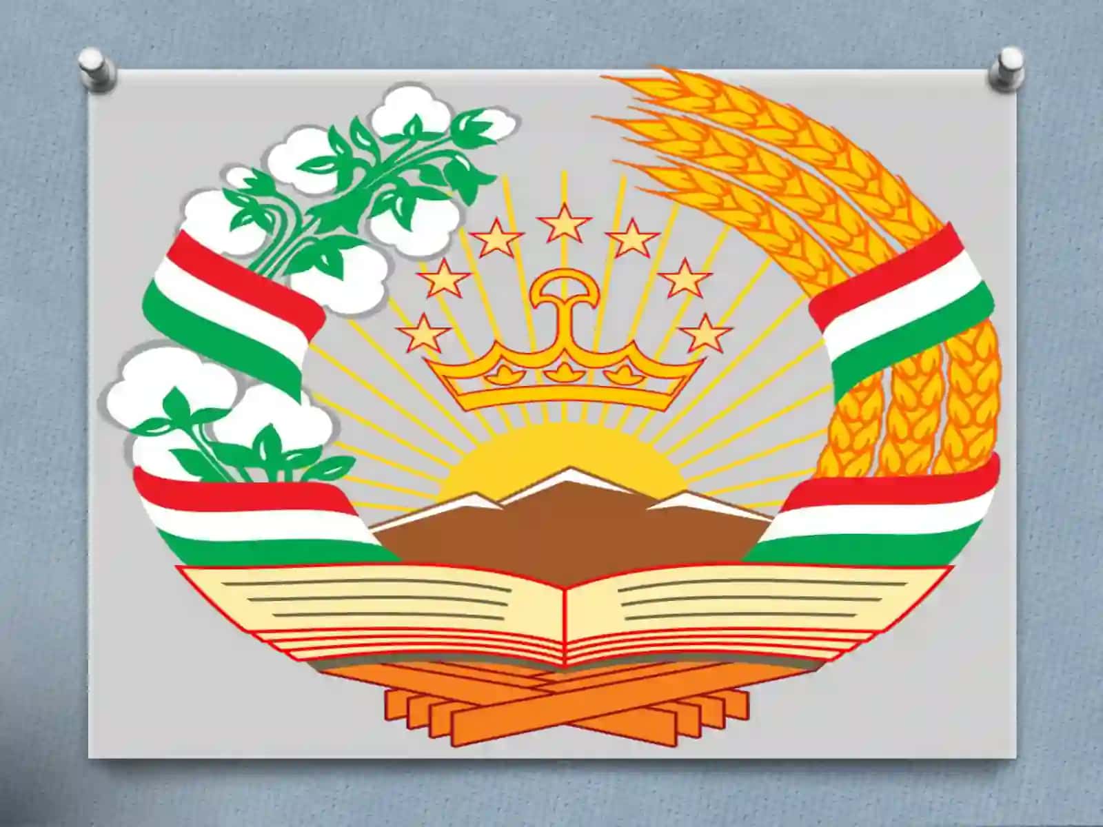 Tojikiston Respublikasi bojxonasiyo sati 4