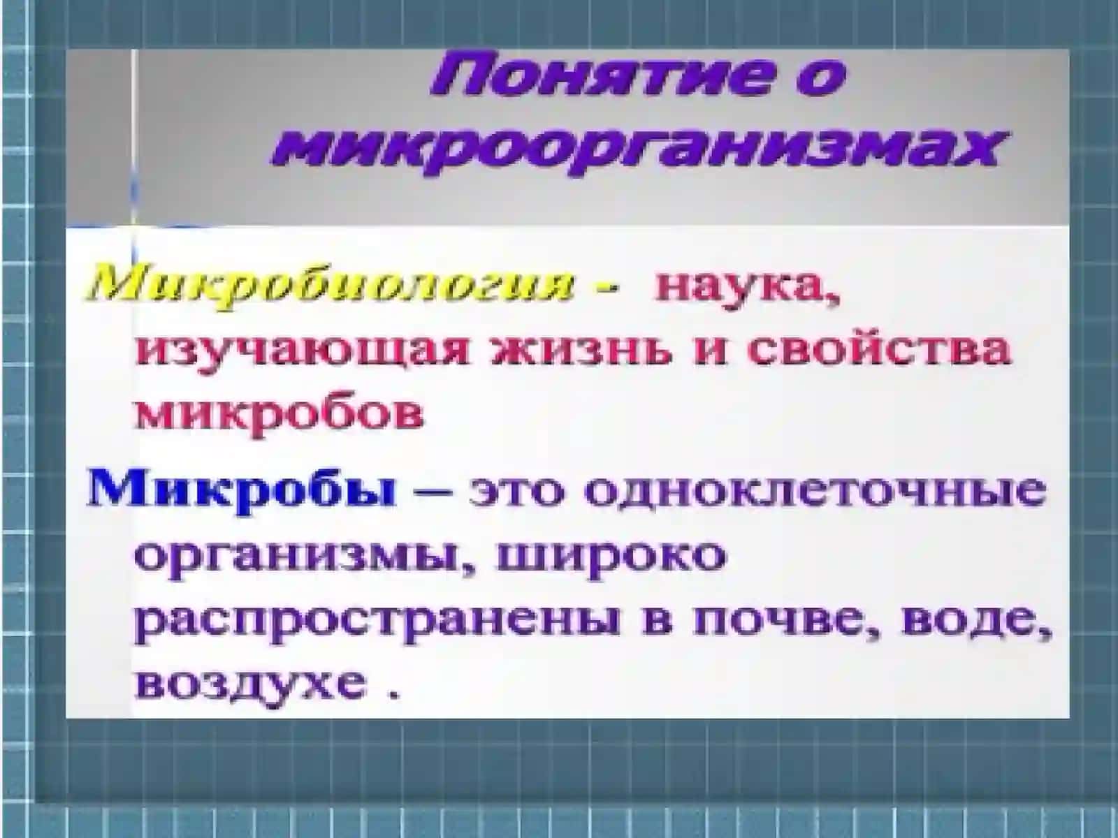 МИКРООРГАНИЗМЫ 4