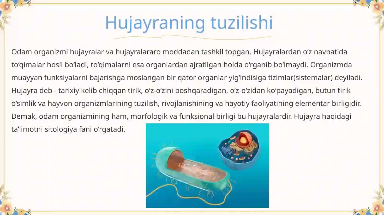 Biologiya yo’nalishi 4