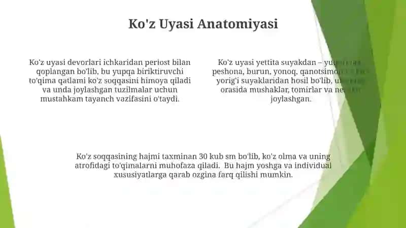 Ko'z uyasi anatomiyasi 4