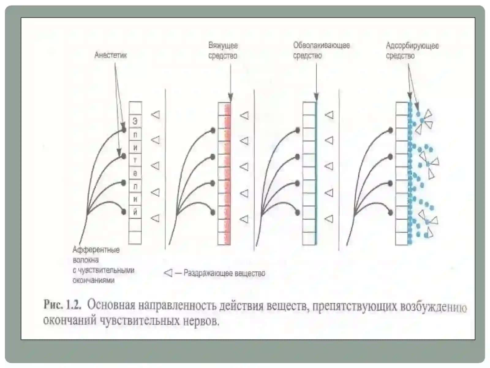 Асабсистемасига таъсир этувчи дори (нейротроп) воситалар 4