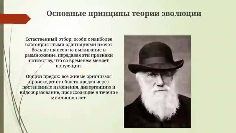 Ученый биолог Чарльз Дарвин 4