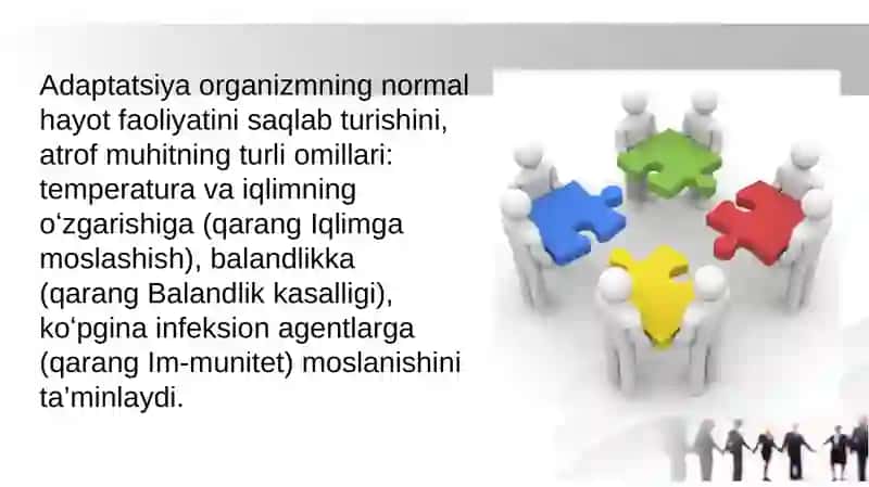 Umumiy adaptatsiya sindromi 4