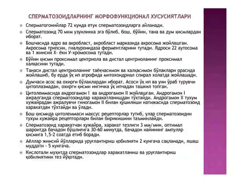 ОДАМ ЭМБРИОГЕНЕЗИ ДАВРЛАРИ 4