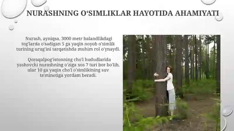 Nurashning tabiatdagi o‘rni 4
