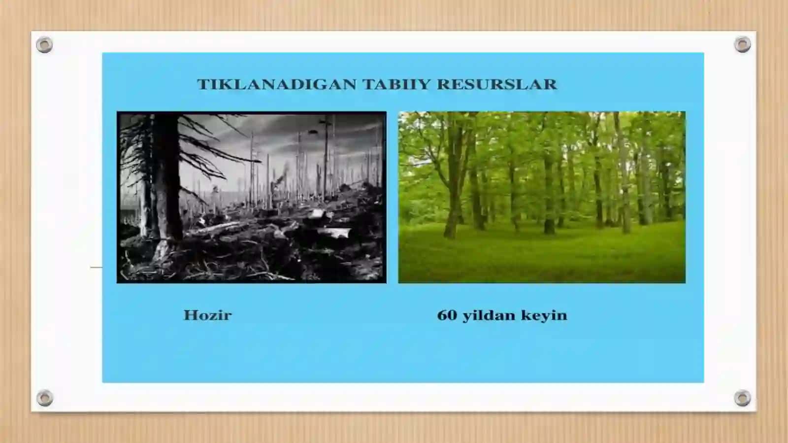 Oʻzbekiston tabiiy resurslardan oqilona foydalanish va muhofaza qilish masalalari 4