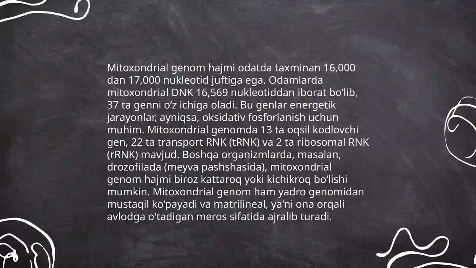 Mitoxondrial DNK ning tuzilishi 4
