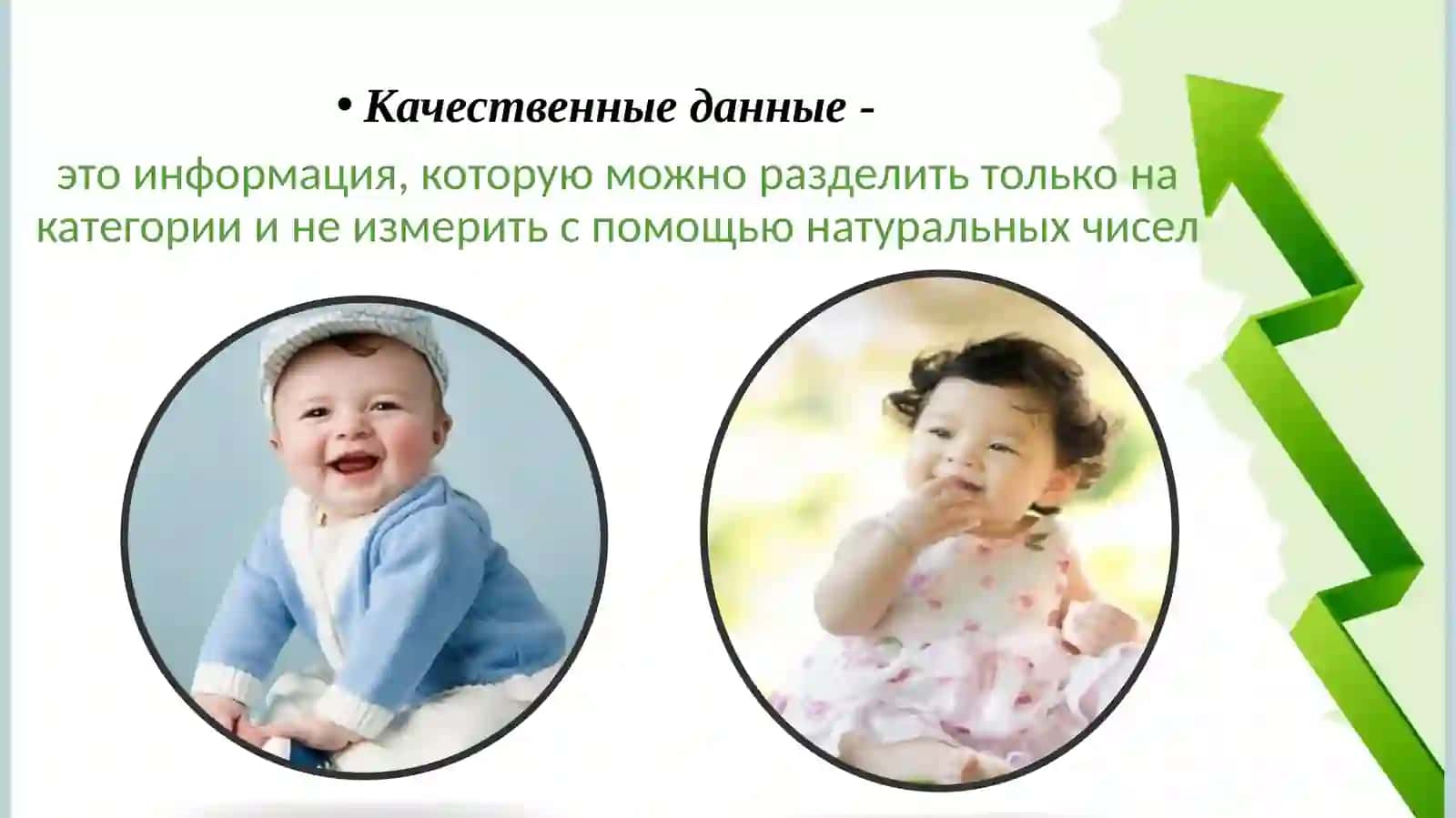 Статистические данные. Сбор статистических данных: виды и суть 4