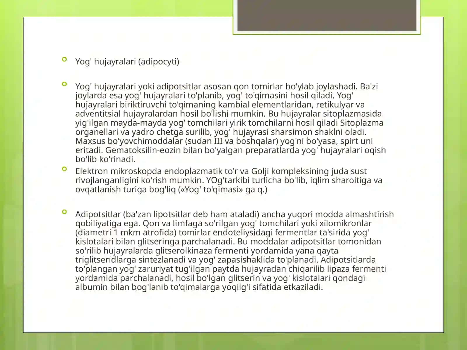 Yog'to'qimasi (adipoz to'qima) 4