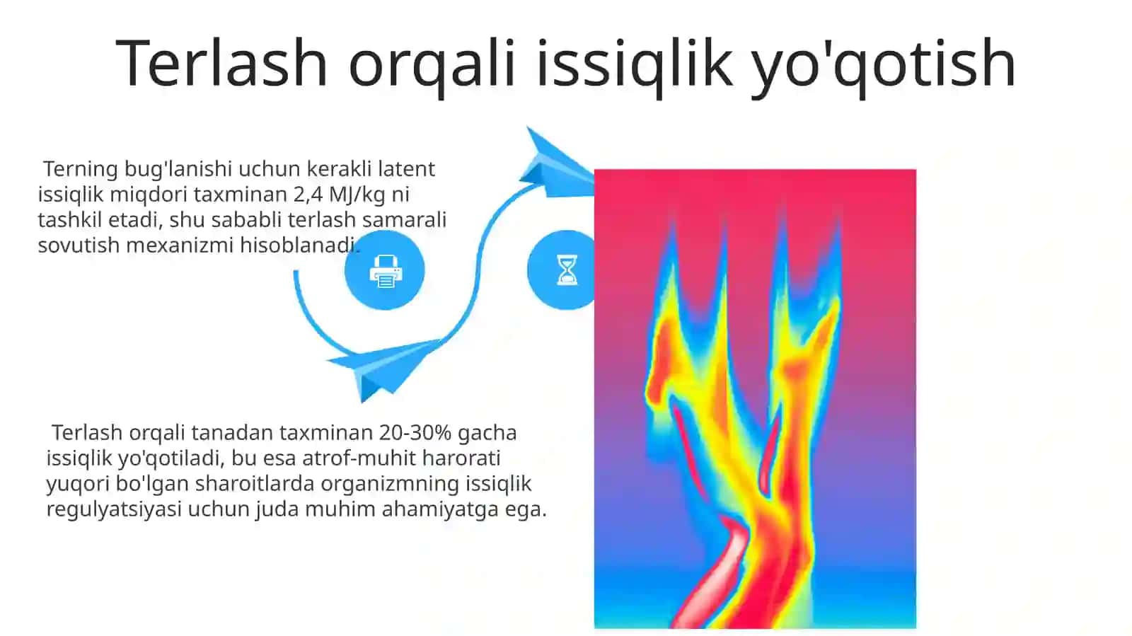Issiq iqlim sharoitida issiqlik almashinuvi 4