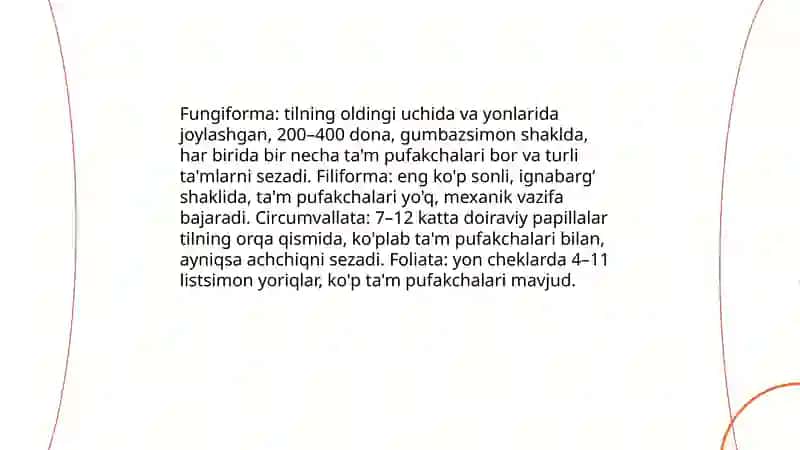 Tilning anatomiyasi va funksiyalari 4