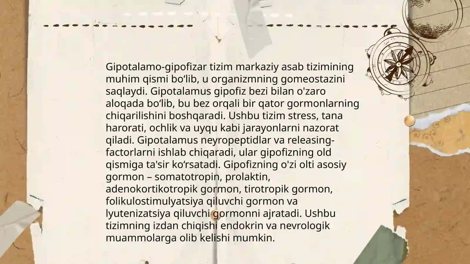 Ichki sekretsiya bezlari fiziologiyasi 4