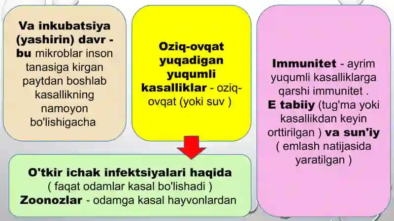 Yuqumli kasalliklar va zoonozlar 4
