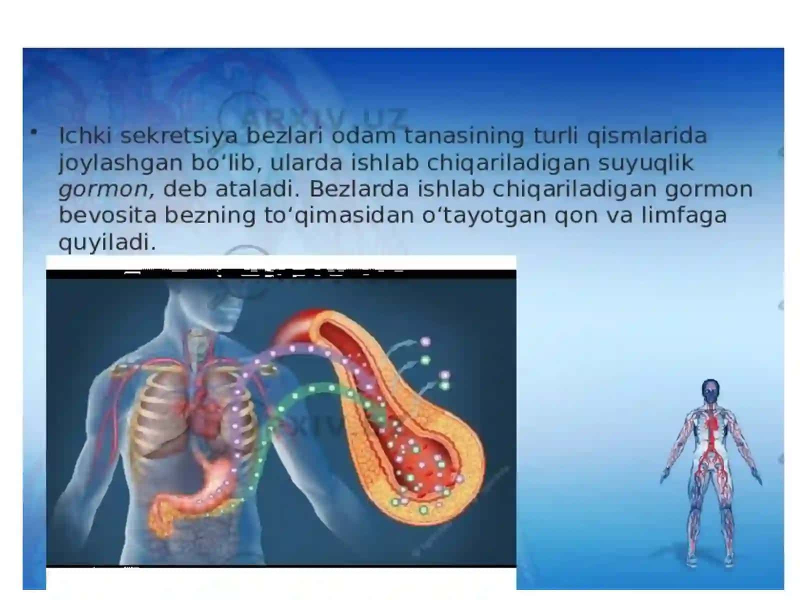 ENDOKRIN TIZIM A’ZOLARI 4
