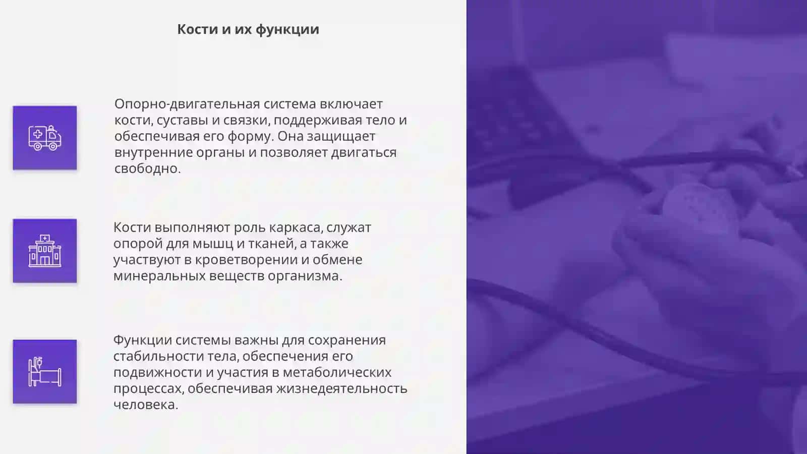 Опорно-двигательная система 4