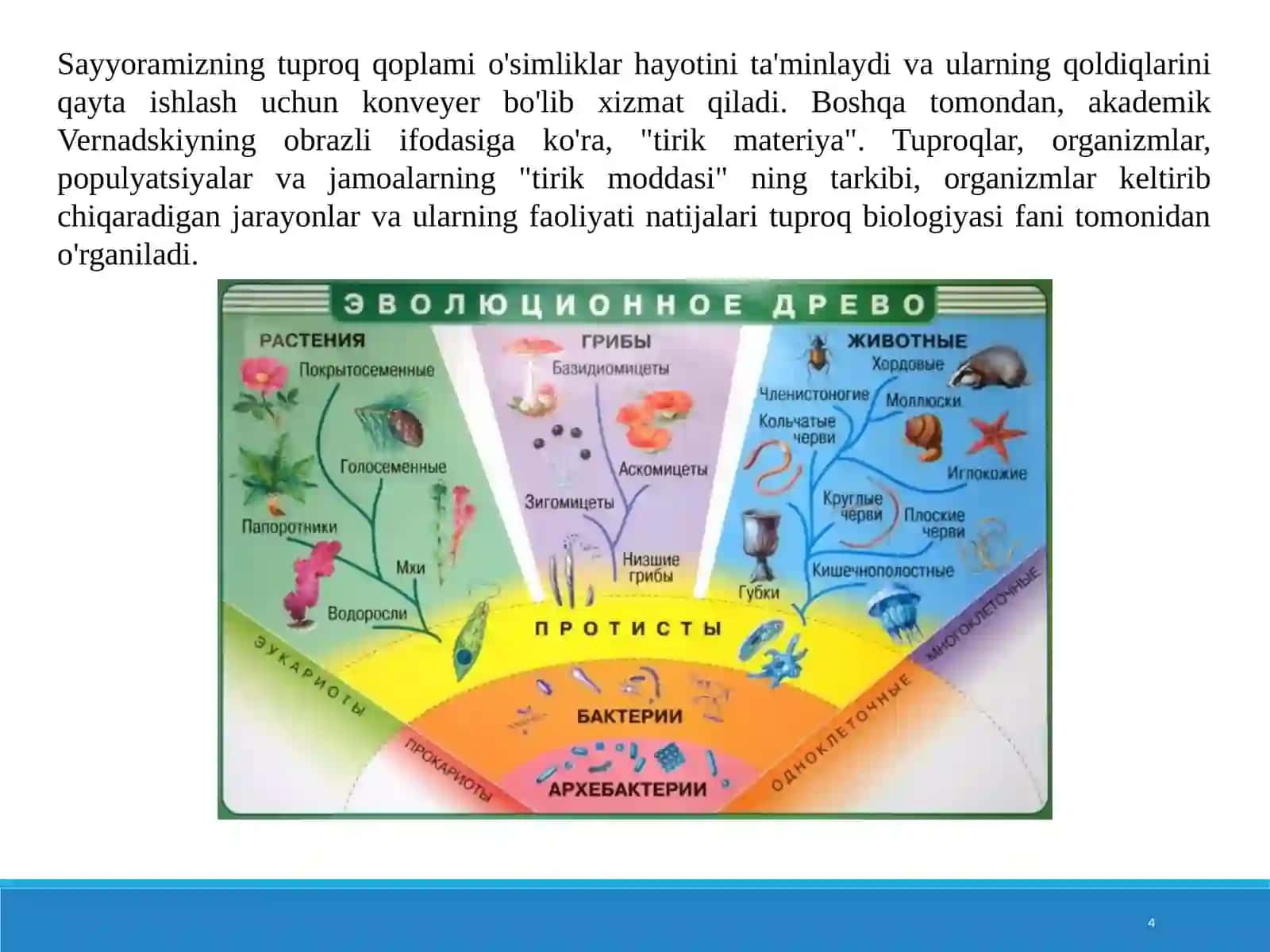 Tuproqlarni biologik faolligi 4