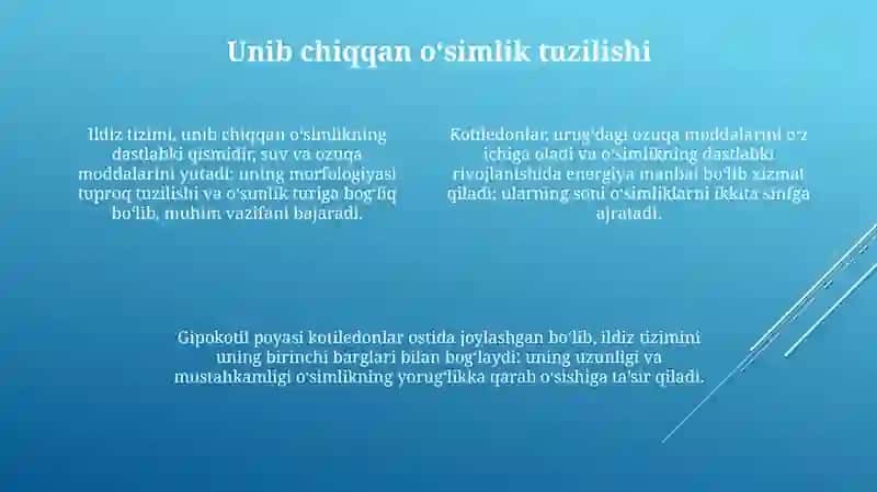 Urug' unib chiqishi 4