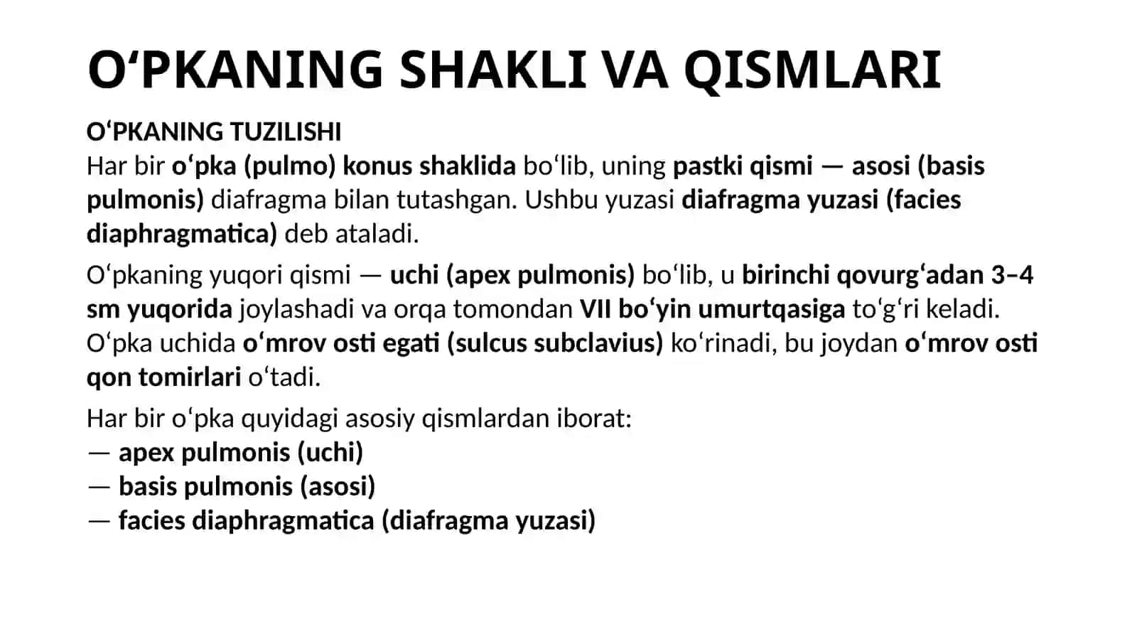 O‘PKA VA PLEVRA ANATOMIYASI 4