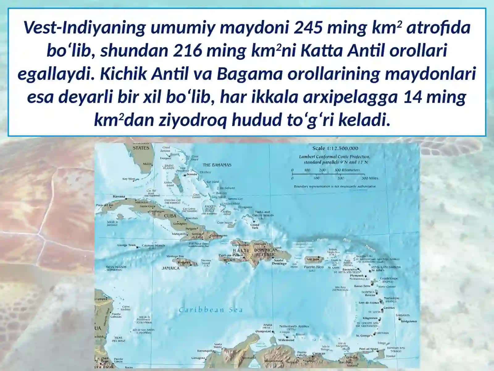 Karib havzasi orol mamlakatlari 4
