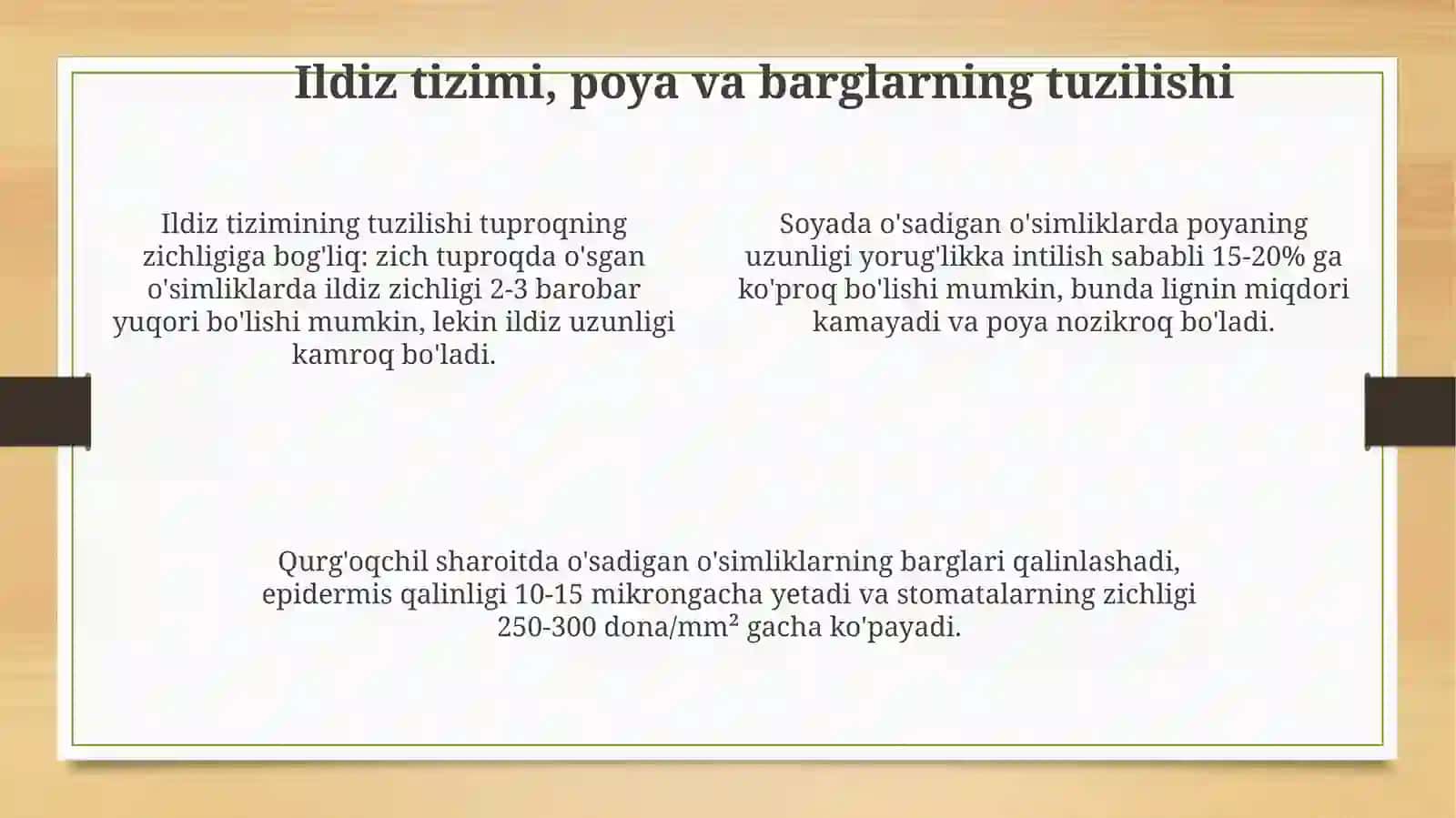 O'simliklar va ildiz ehtiyotlarni taqqoslash 4