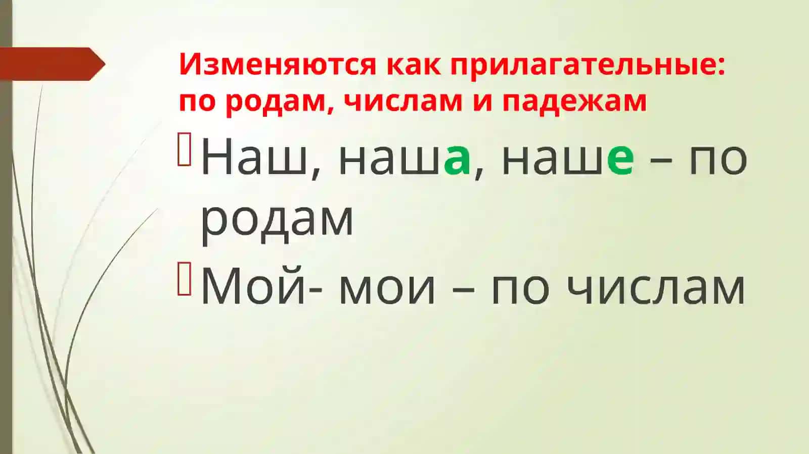 Притяжательные местоимения 4