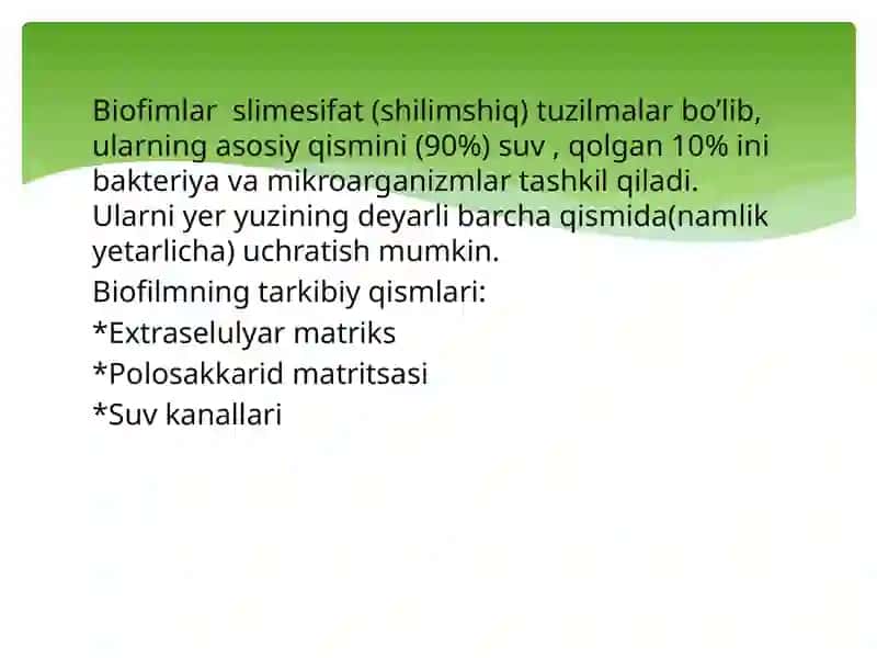 Bakteriyalarning bioplyonka hosil qilishi va uning ahamiyati 4