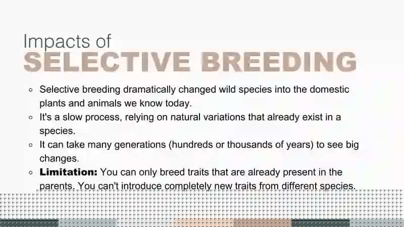 Technology and Inheritance of Traits
Science Presentation in Neutrals 4