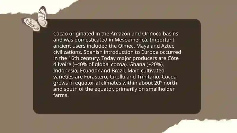 The History of Chocolate 4