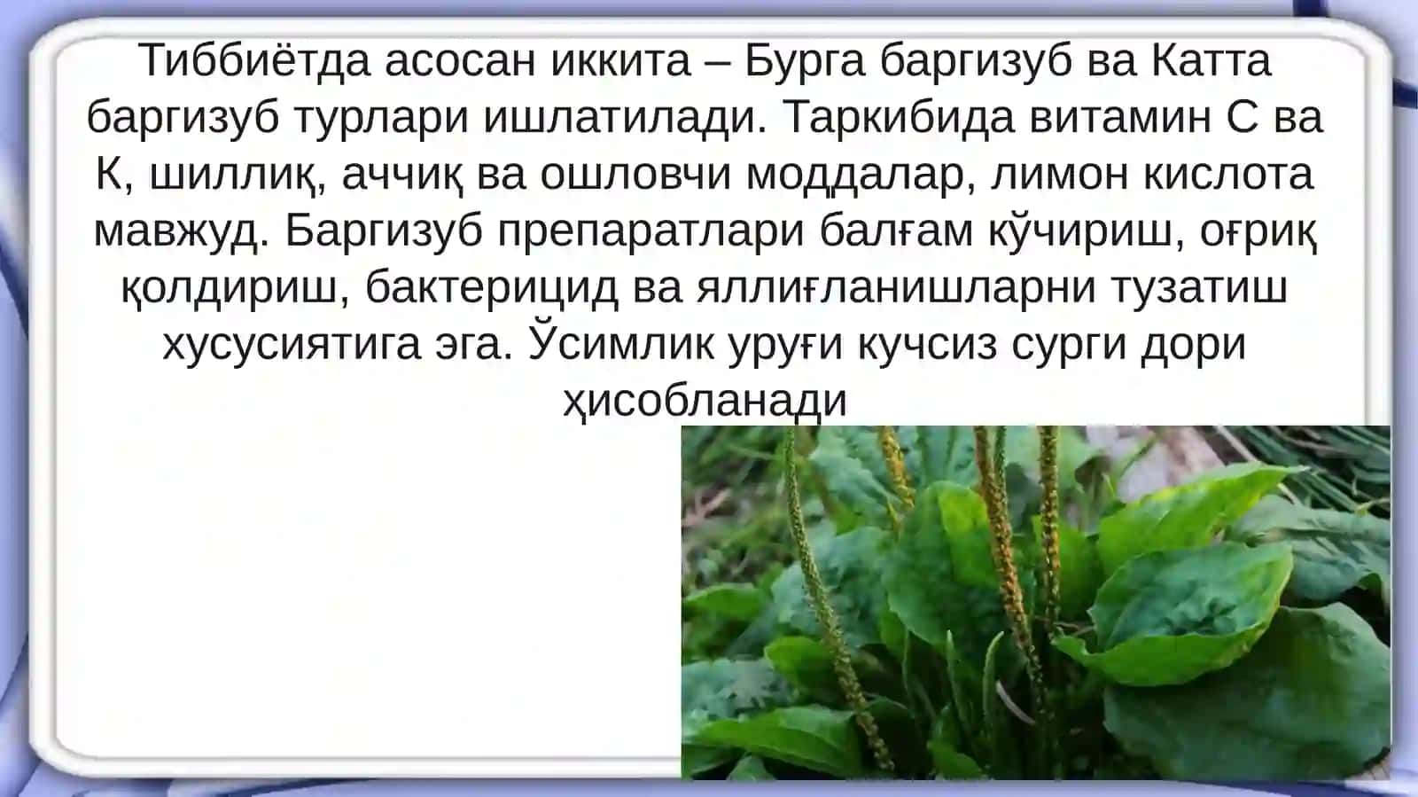 Zupturimo`simligivabiologiyasi 4