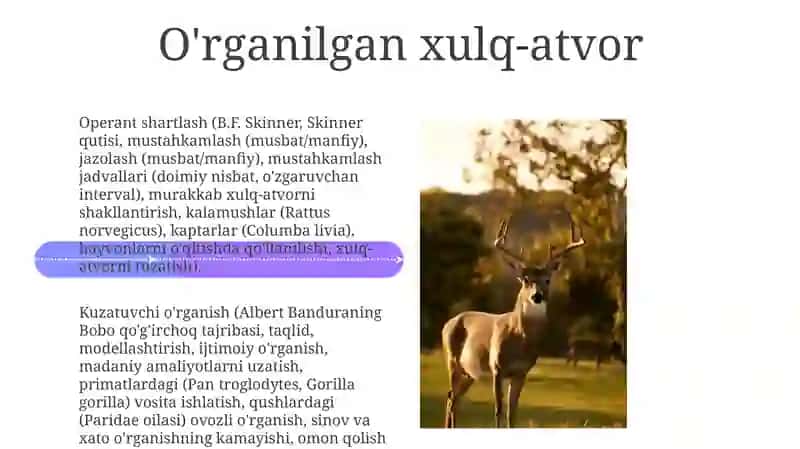 Hayvonlar psixik faoliyatining umumiy tasnifi 4