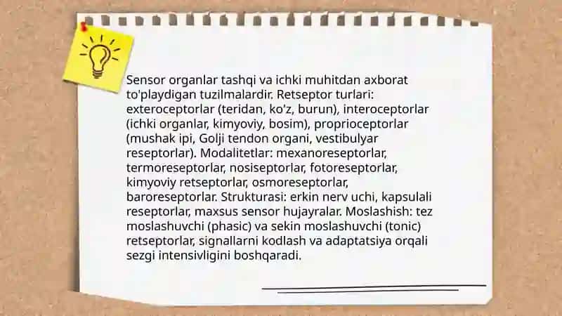 Sezgilar haqida umumiy tushuncha 4