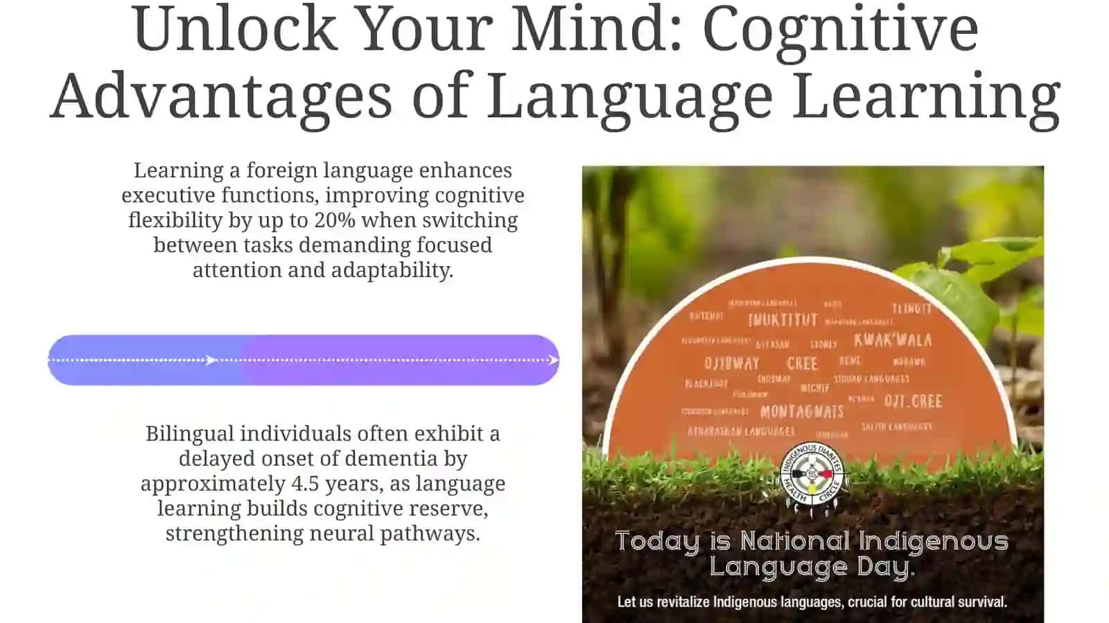 Foreign languages in our life 4