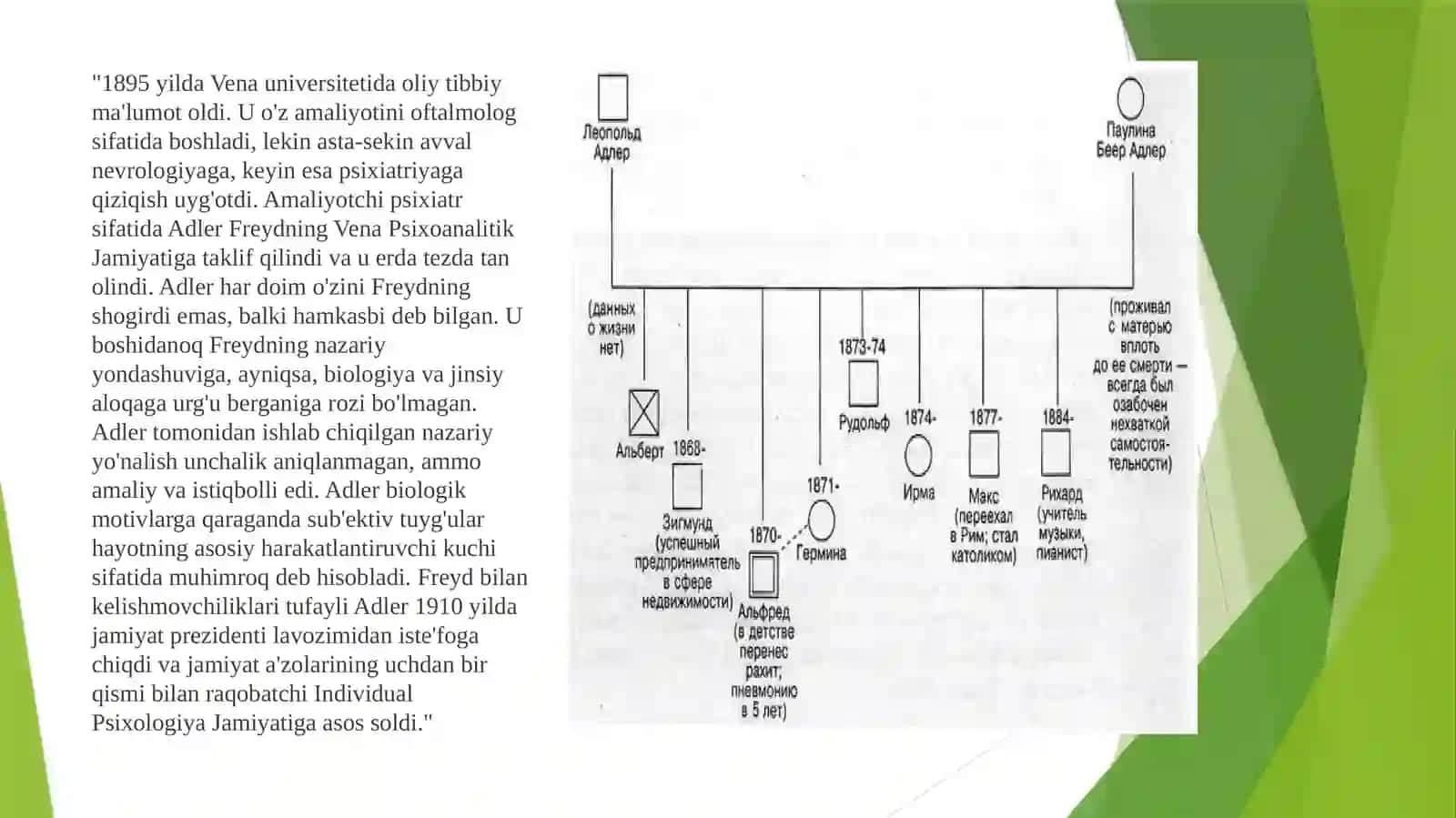 Alferd Adlerning guruhiy konsultatsiyasi 4