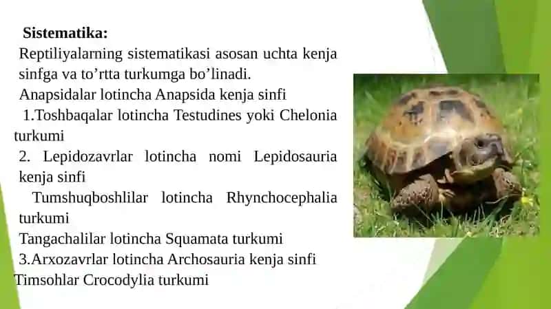 Reptiliyalar muhofazasi 4