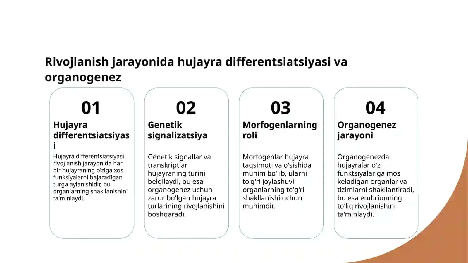 Embriogenez Bosqichlari va Rivojlanish Jarayonlari 4