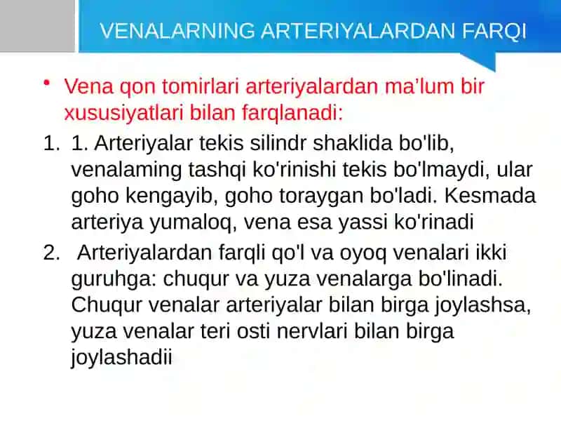 VENA QON AYLANISH TIZIMI 4