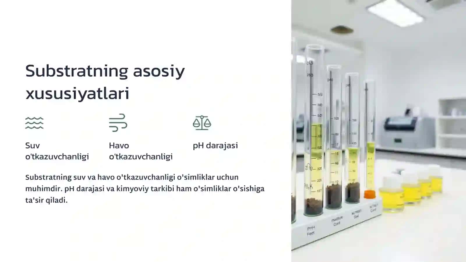 Substratni tanlash va huquqiy qoidalar 4
