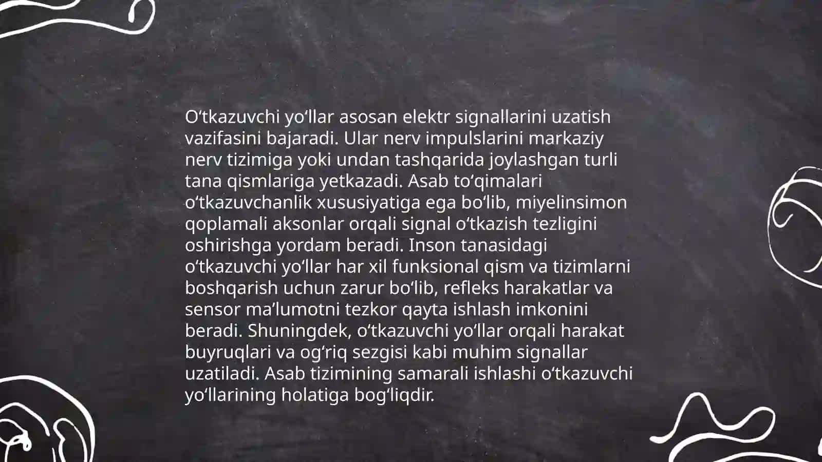 Orqa miyaning o’tkazuvchi yo’llari 4