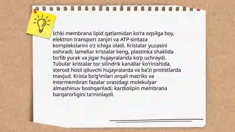 Mitoxondriya va plastidalarning tuzilishi 4