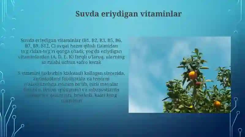 Vitaminlar 4