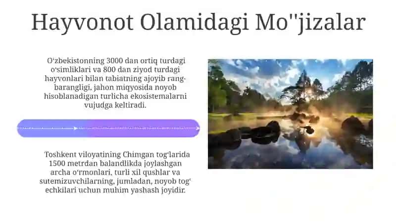 O'simliklarning Go'zalligi 4