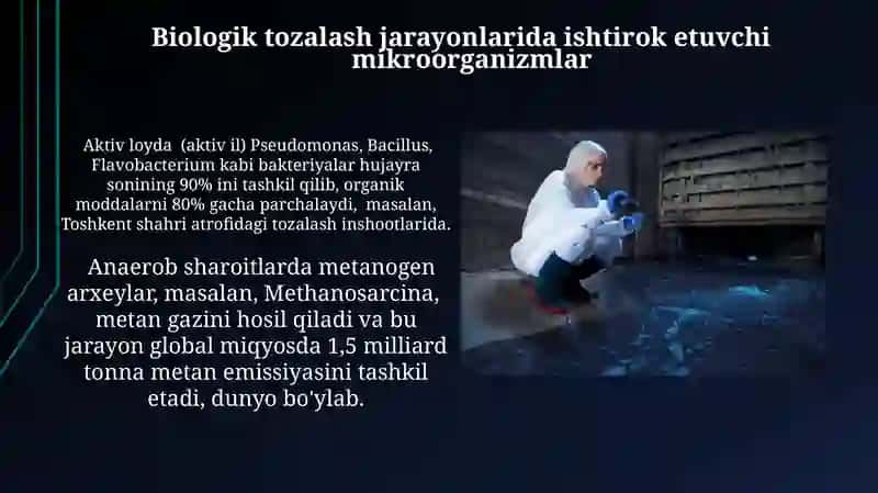 Mikroorganizmlar yordamida tozalash 4