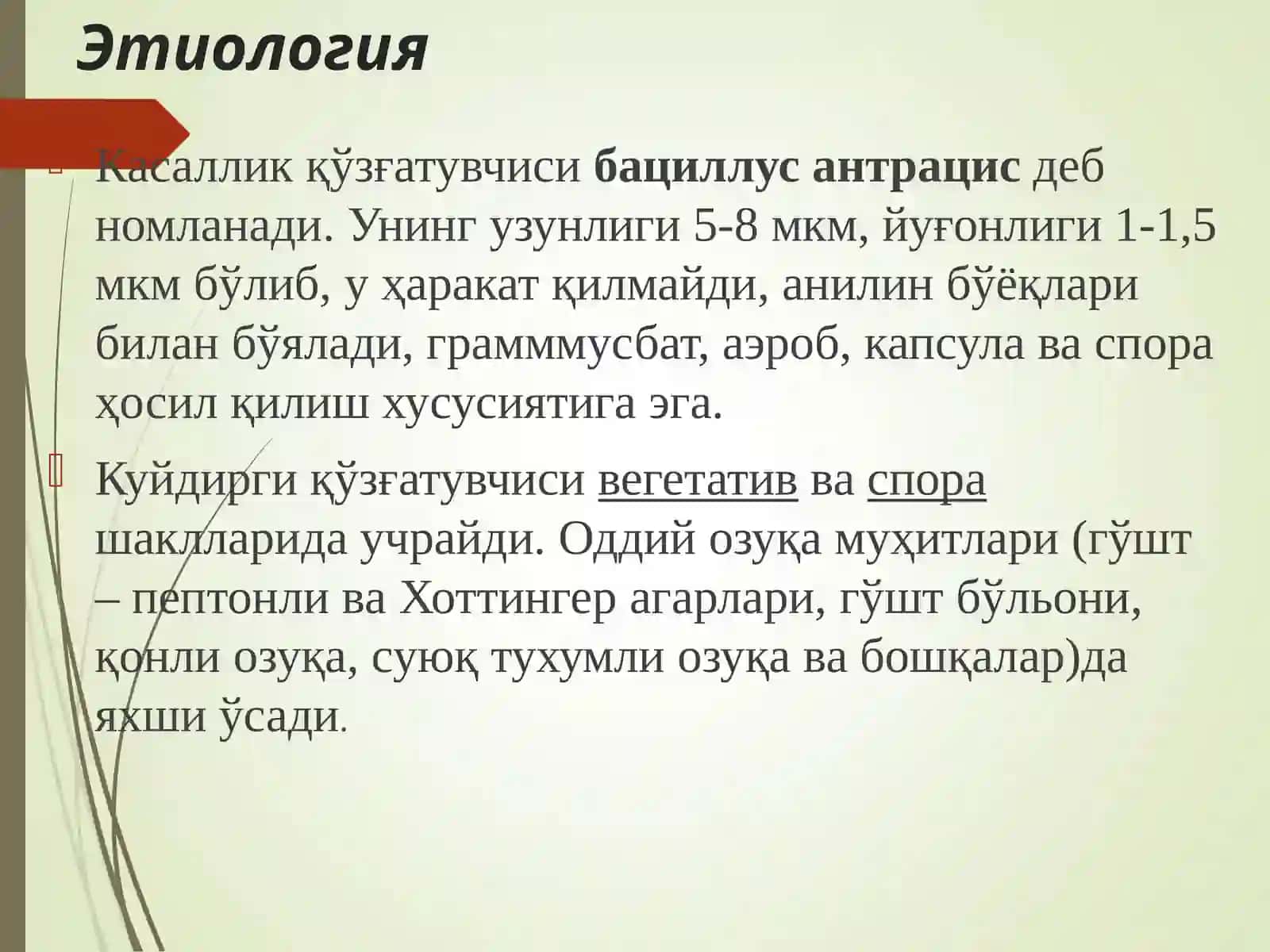 Куйдирги 4